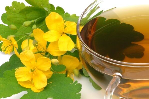 Infusion de chélidoine pour le traitement de la prostatite